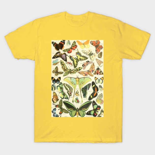 Luna Moth Butterfly Vintage Botanical Illustration T-Shirt by codeclothes